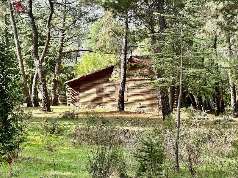 Foto 1ab289cd-2400-49ca-969b-eaf6de7efcbb. Terreny residencial a Molinos (Los)