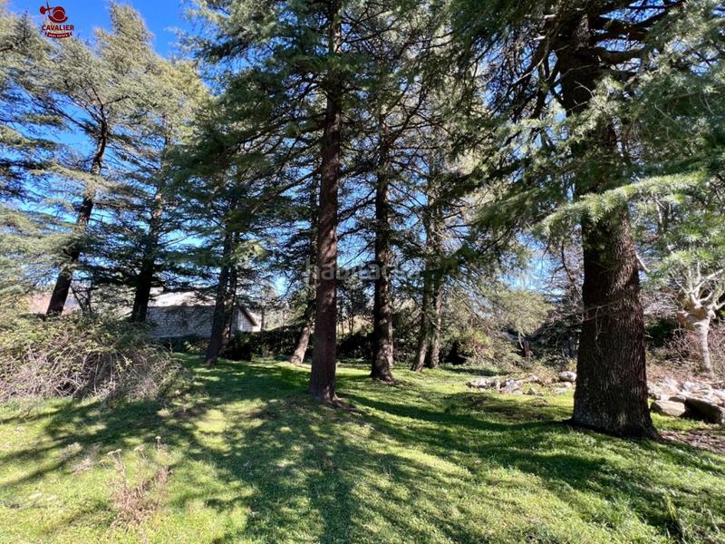 Foto 32de74c7-9911-464b-b53e-9d4c7a7454c3. Residential plot in Cercedilla