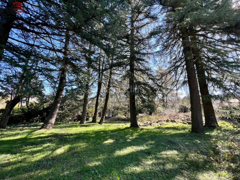 Foto f8284512-6cbc-4c87-8d6d-a4ab7604bf2f. Residential plot in Cercedilla