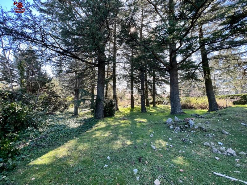 Foto f97abda1-e9cc-49f5-9945-08288a137bf7. Residential plot in Cercedilla