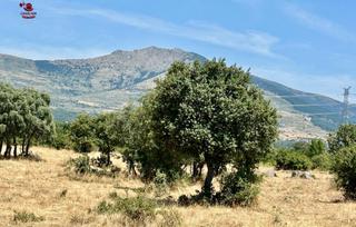 Pis en Guadarrama. Piso de 82m2 con 2 dormitorios, bao, terraza cerrada con cortin