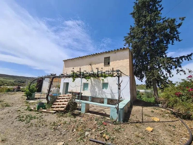 Foto 723f9a54-c7b7-4442-bdd6-ba92ebdd6f8d. Finca rústica a Norte - Barrio del Pilar - El Reñidero Vélez - Málaga