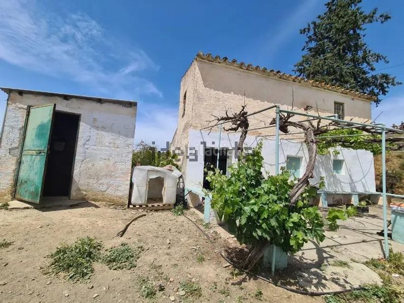 Foto 9155a9ce-99a1-4ba2-abc1-43d94f68f46e. Finca rústica a Norte - Barrio del Pilar - El Reñidero Vélez - Málaga