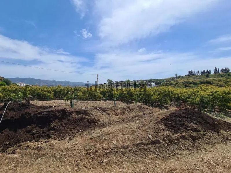 Foto d16647b9-101f-41f3-9aa3-791b2a94a266. Finca rústica a Norte - Barrio del Pilar - El Reñidero Vélez - Málaga