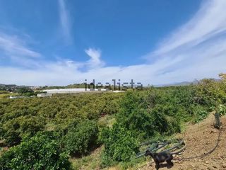 Finca rústica a Norte - Barrio del Pilar - El Reñidero