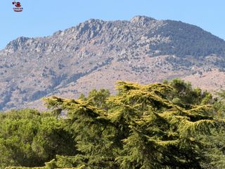 Alquiler Chalet en Molinos (Los). Chalet independiente de 234m2 con 4 dormitorios tipo suite con 4