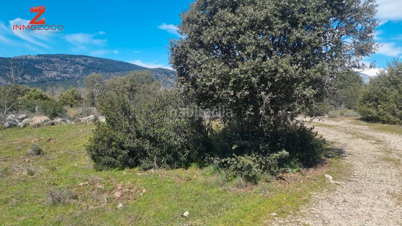 Foto a902d39b-d137-4a1e-86b0-b5d2c04f9b3c. Fondo rustico in Fontenebro-Altavista Collado Villalba