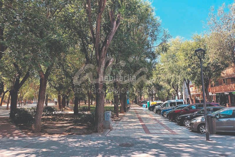 Foto 3fe39bc7-4d45-49df-9bf9-21ba5d980760. Piso vivienda de dos dormitorios, planta baja en Centro-Ayuntamiento Pinto