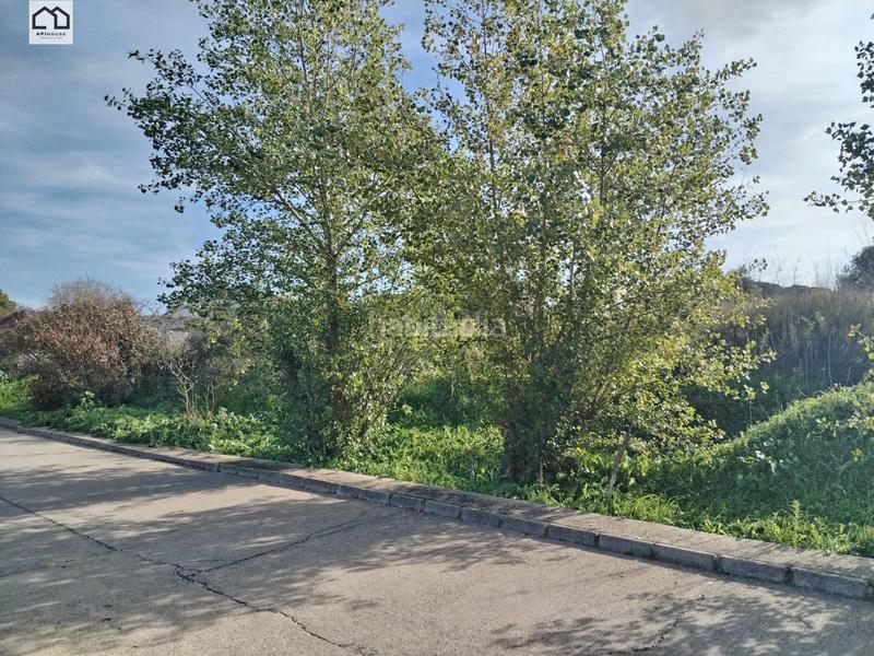 Foto bad7b972-63f2-4536-9496-174a4b3df577. Terreny residencial a Escalona