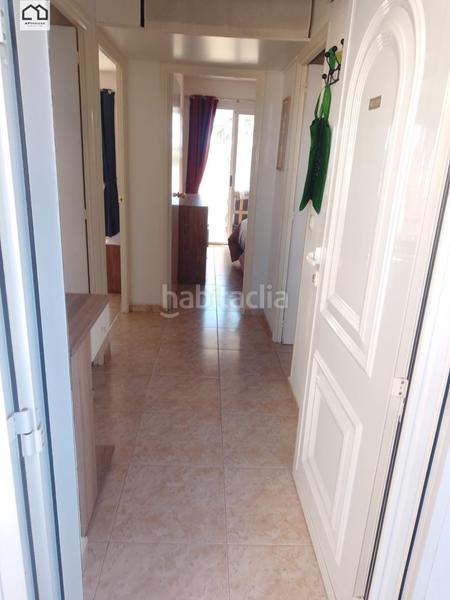 Foto 4c13a069-8abe-4584-a455-05cf5cbd3d57. Pis a Torreblanca Torrevieja