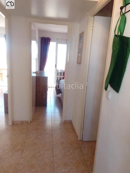 Foto 7109dd7d-797b-4915-a90d-eb96d79559cd. Pis a Torreblanca Torrevieja