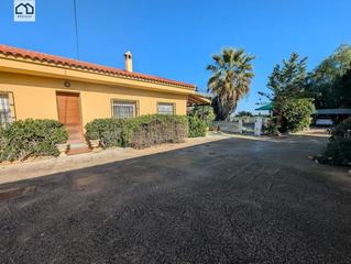 Haus in Montepinar - La Aparecida - Raiguero