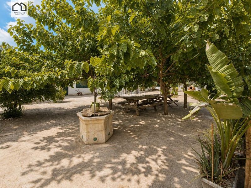 Foto 0f0a69c8-0f1a-4600-9bd5-af6fb8276789. Casa amb aparcament piscina a Almoradí