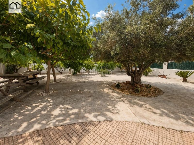 Foto d2b55a85-653d-411a-a215-2c979feaa743. Casa amb aparcament piscina a Almoradí