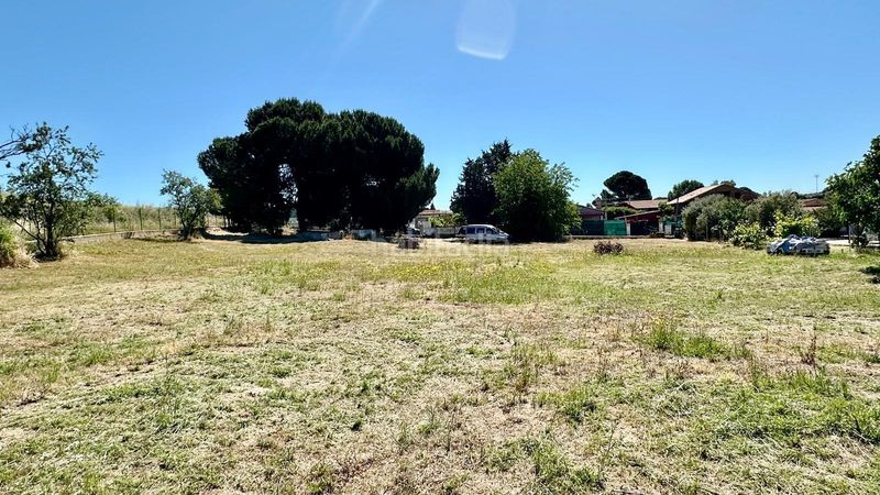 Foto 82193ff0-0eb0-496d-9f54-b9a47bec6a2b. Terreny residencial a Otero