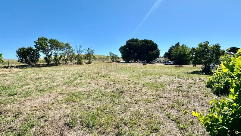 Foto bc8e92df-9d27-4f5d-b057-674f30b52cd8. Terreny residencial a Otero