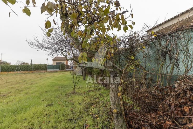 Foto 2d47b2ab-8ec7-46e2-811a-e30a12253b65. Terreny residencial a Nieva