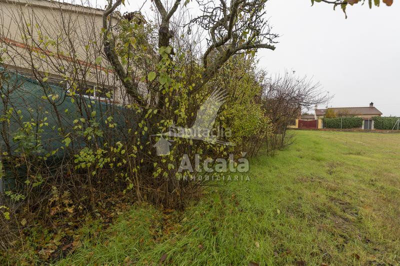 Foto 6bed4068-611e-4366-be01-0d76b5c341a5. Terreny residencial a Nieva