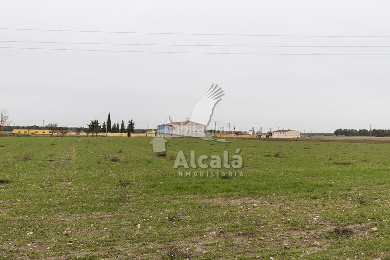 Foto 6e55bfe2-a289-486b-bbd5-9cf30be65c24. Terreny residencial a Nieva