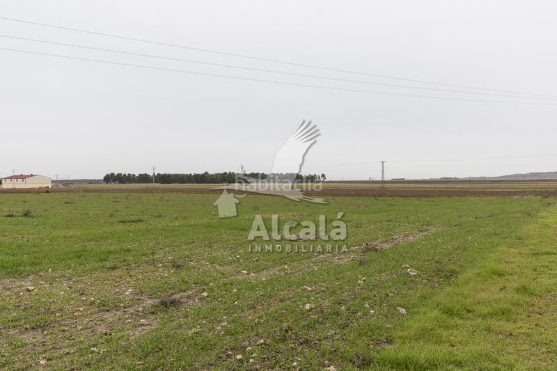Foto 99aee026-7584-4055-9535-5e147acfed95. Terreny residencial a Nieva