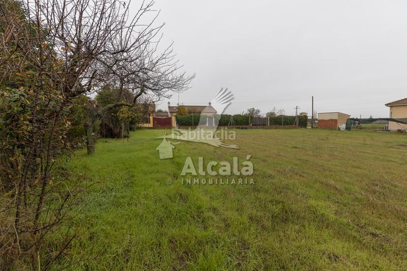 Foto ea8d9c0a-3620-4ea5-af71-f4af34693342. Terreny residencial a Nieva