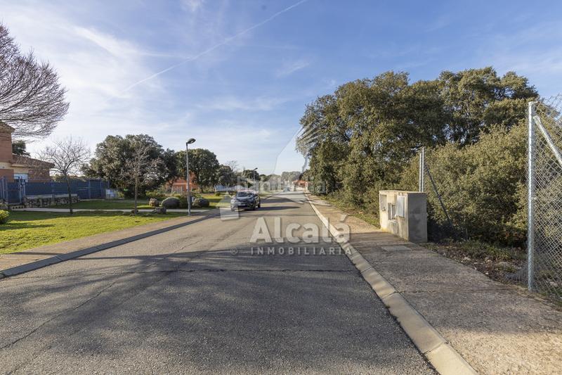 Foto 20a802a7-9027-4f71-bd57-712dbc0779b2. Wohngrundstück in Chiloeches