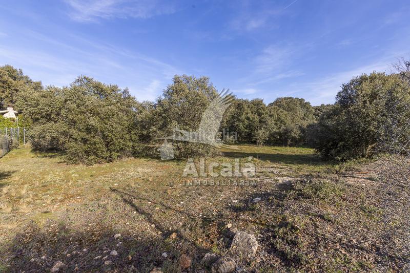 Foto 4614ebc6-0e0c-4d38-b340-0b4f3a2a6124. Wohngrundstück in Chiloeches