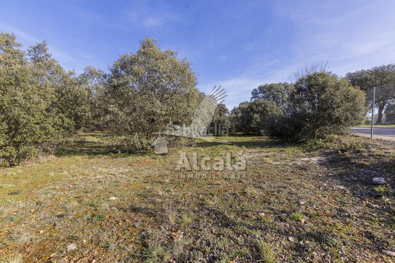 Foto 4cea4228-6e50-4e93-9201-7dd980ab8da7. Wohngrundstück in Chiloeches