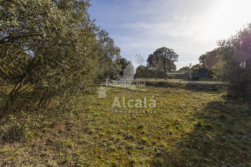 Foto 57f743ee-ed3a-4aff-8393-436c96fadae7. Wohngrundstück in Chiloeches