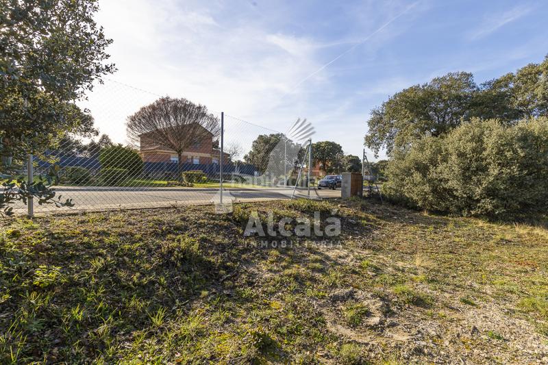 Foto 638f2034-b085-4a9b-b96c-7d8129b86440. Wohngrundstück in Chiloeches