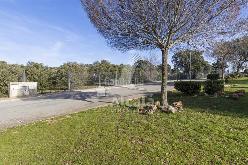 Foto 68c10793-3a8a-4d40-a1e5-11fe27304cb6. Wohngrundstück in Chiloeches