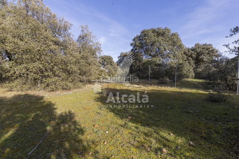 Foto 6b10af4f-0e42-4907-af6c-c1cdf236f00f. Wohngrundstück in Chiloeches