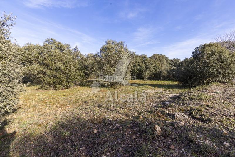 Foto 6db5ee84-a3e6-4a1c-8930-7f5e04994f7f. Wohngrundstück in Chiloeches