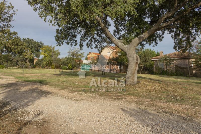 Foto 7022a13b-58eb-49f6-be98-135d200ae2ff. Wohngrundstück in Chiloeches