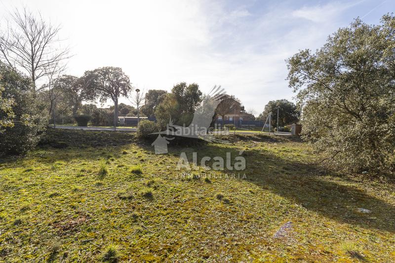 Foto 85f377e3-4997-4f13-9a81-a33a6d103bba. Wohngrundstück in Chiloeches