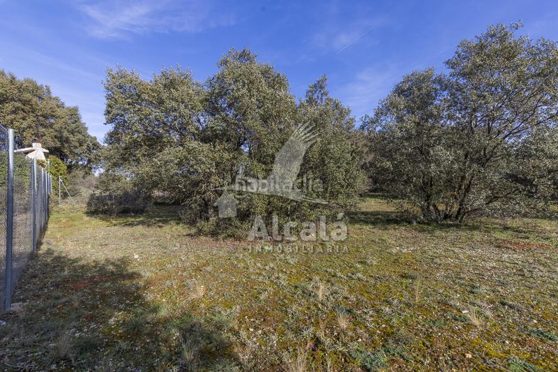 Foto 87fb3ac8-1f0b-45ce-8302-171cf0194a5b. Wohngrundstück in Chiloeches