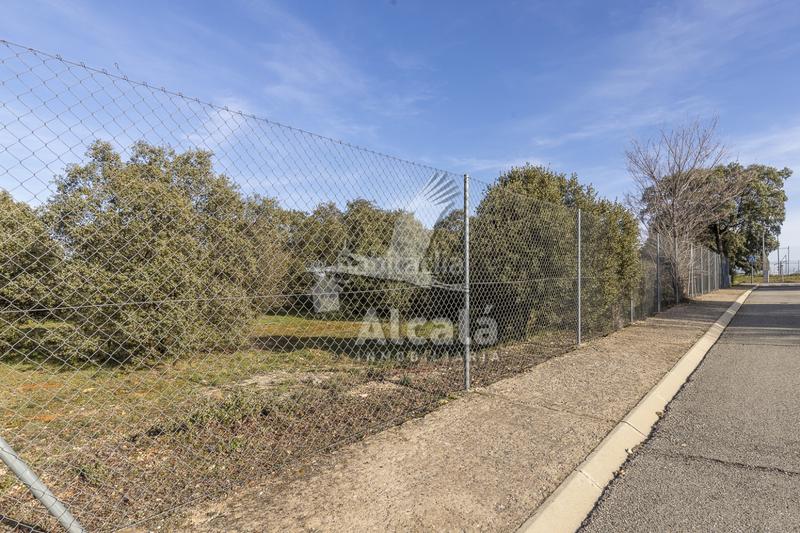 Foto a956baba-ce16-4040-865c-dff19b1f6b76. Wohngrundstück in Chiloeches