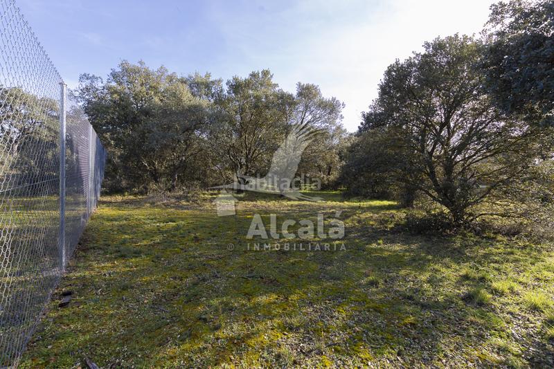 Foto aa269d69-8ba7-4251-b56e-7dfbd7fbc00e. Wohngrundstück in Chiloeches