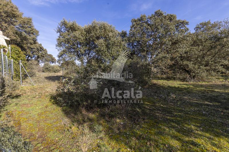 Foto c1969d0b-c8ff-4188-874b-c55c58d6a612. Wohngrundstück in Chiloeches