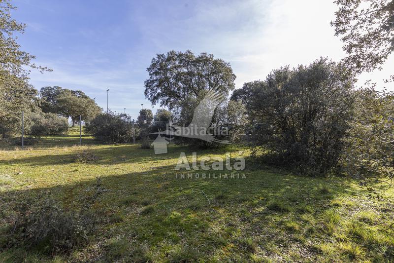 Foto d0ab6f98-a455-46eb-9d02-2e32c1a9c5d6. Wohngrundstück in Chiloeches