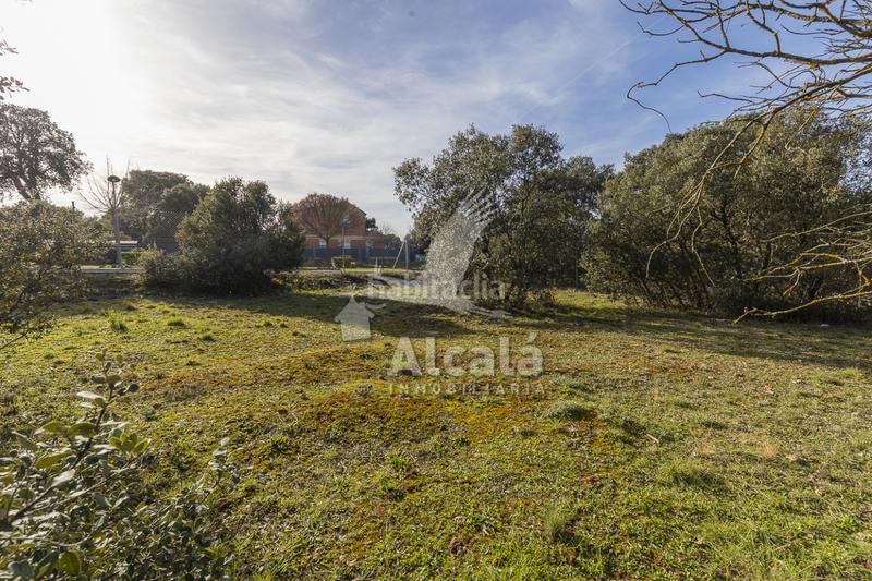 Foto d2ac7d05-3c54-40cf-b7e1-16427fa5adfb. Wohngrundstück in Chiloeches