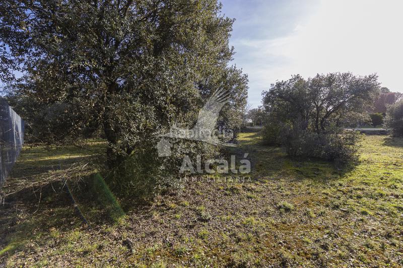 Foto da90205e-dc66-42c7-a63c-6cbfd0cf29cb. Wohngrundstück in Chiloeches