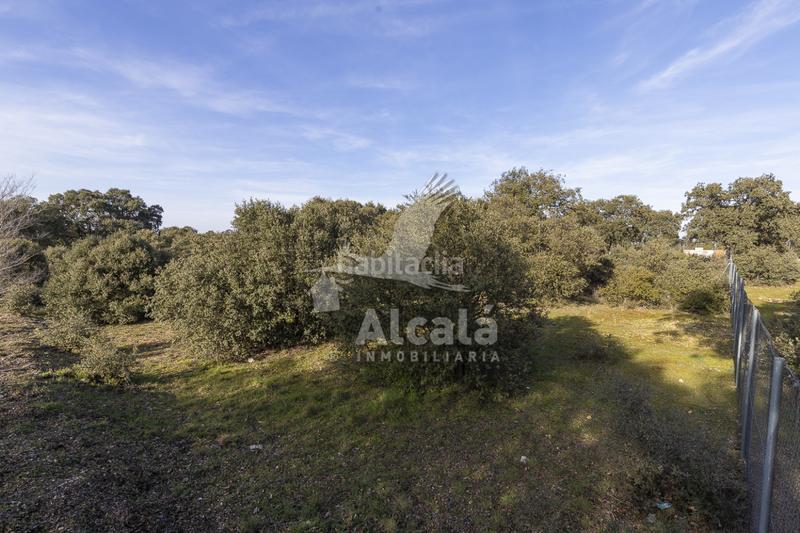 Foto ef3d1beb-dd8e-4fd7-ab78-4b1a01d80fa5. Wohngrundstück in Chiloeches