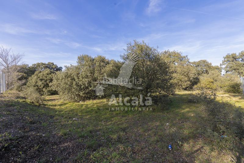 Foto f084325d-e01d-4166-800f-e8b90e205d80. Wohngrundstück in Chiloeches