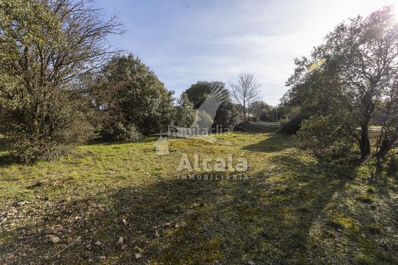 Foto f6bc3301-dc6e-4b68-ac38-71481bb4ab1a. Wohngrundstück in Chiloeches