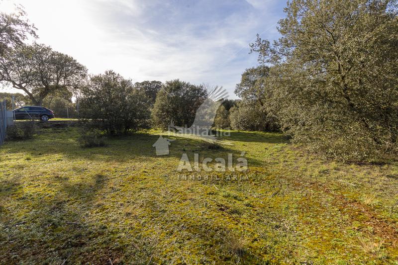 Foto f8ff74a6-782d-492e-9ec0-5a27a95a0f79. Wohngrundstück in Chiloeches