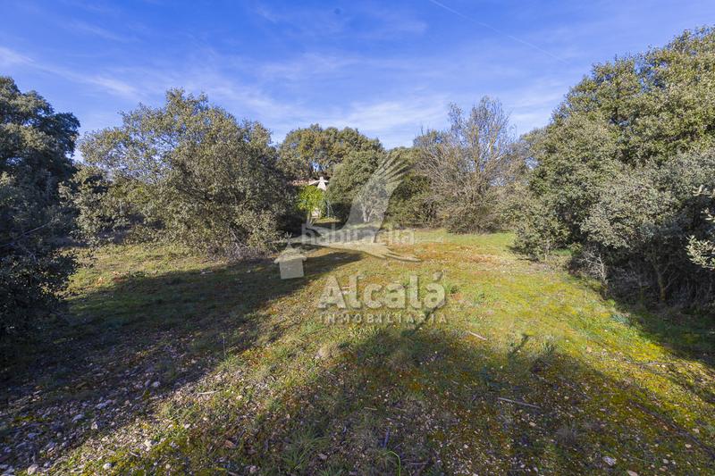 Foto fa7e2400-df8b-44e6-877b-bd2c0dd49a4a. Wohngrundstück in Chiloeches