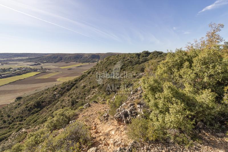 Foto 0333471f-f603-4114-9029-cea4c37ca741. Terrain résidentiel dans Yebes - pueblo Yebes