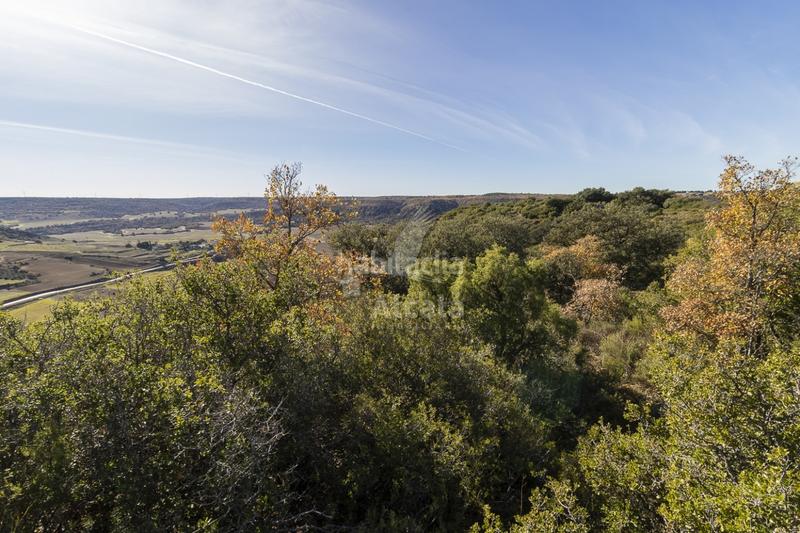 Foto 3834beef-b887-47f9-ac57-7aa63fe44980. Terrain résidentiel dans Yebes - pueblo Yebes