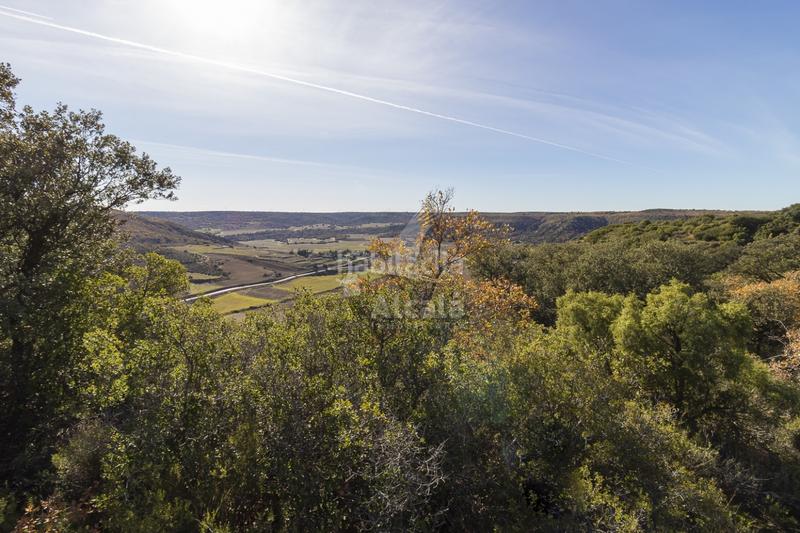 Foto 3c9839b5-2692-4844-bf3e-ff3f0d233b8b. Terrain résidentiel dans Yebes - pueblo Yebes